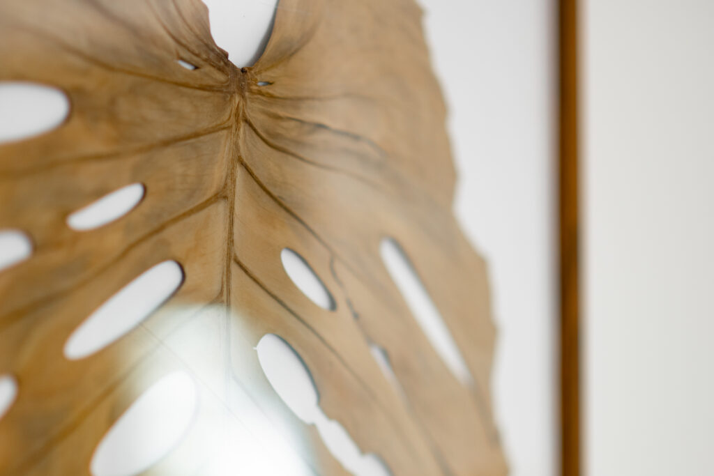 Home decoration feuille monstera 02